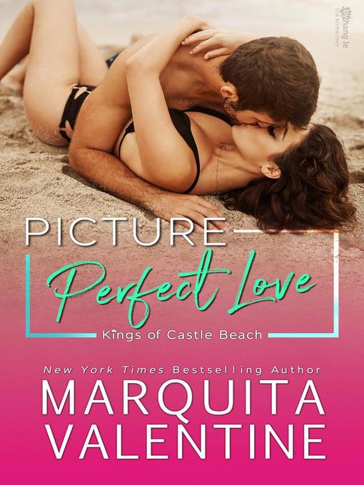 Cover image for Picture Perfect Love